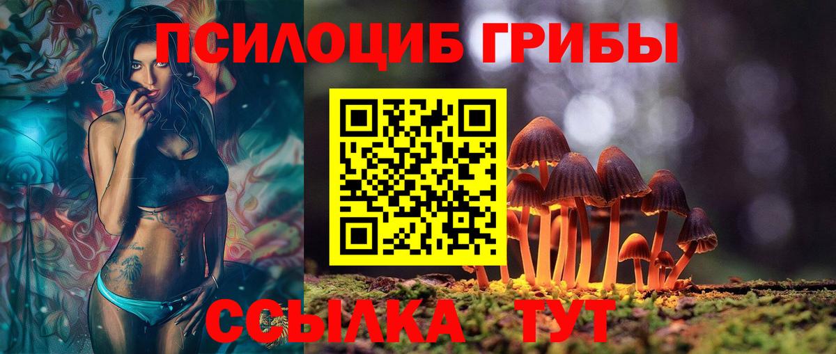 Евпатория  Галлюциногенные грибы MAGIC MUSHROOMS  Вход с VPN  Псилоцибиновые грибы мухоморы 