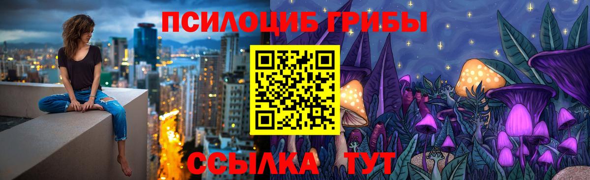 Псилоцибиновые грибы мицелий Евпатория
